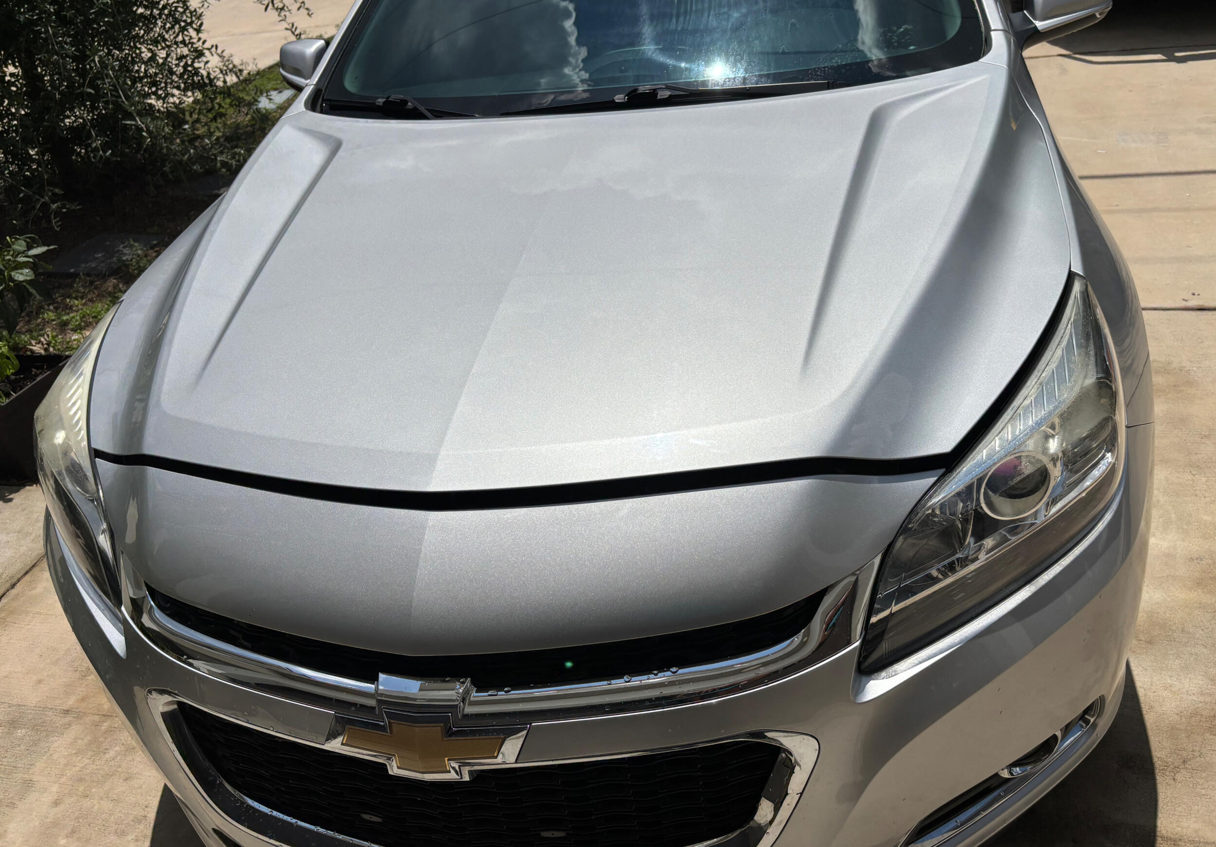 VM Wraps portfolio - vehicle wrap project 18